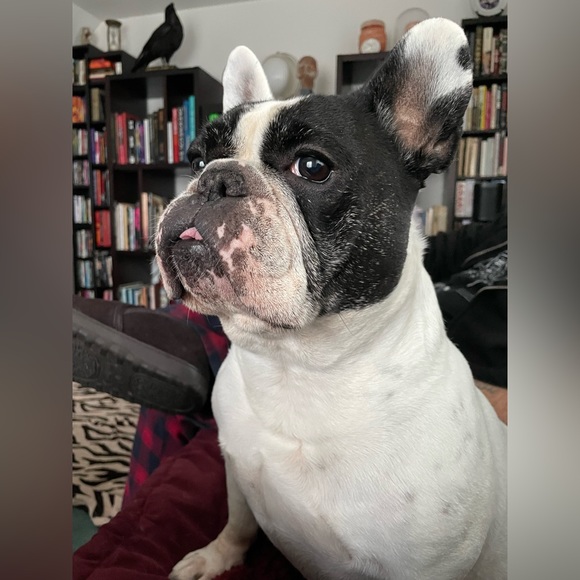 Meet your Posher, Cynthia - Picture 6 of 10